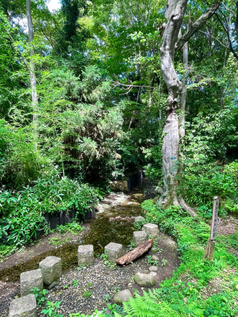 2023/0830a 柳窪天神社