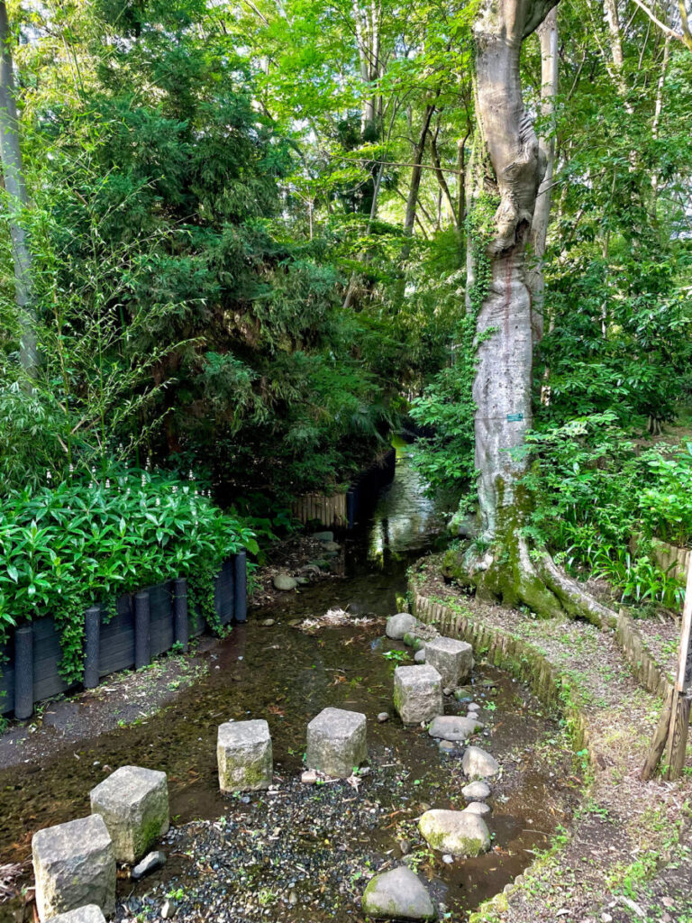 2023/0703c 柳窪天神社